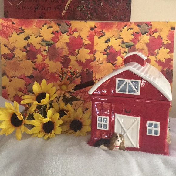 Other - Pioneer woman cookie jar